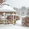 Community Pond in Winter