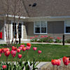 Courtyard Garden in Spring